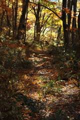 矢ノ原の小路