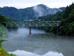 すずめの涙
