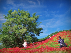 紅の舞台