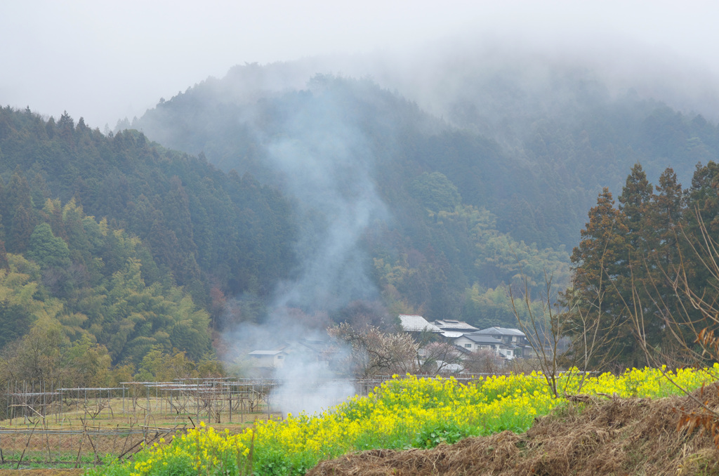 山里の春