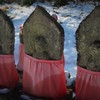 野仏の祈り
