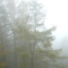 霧の別れ