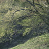 花旅立ちて
