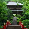 山滴る夏