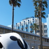 カリフォルニアの風