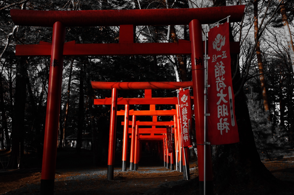 寒紅