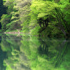 七色の緑
