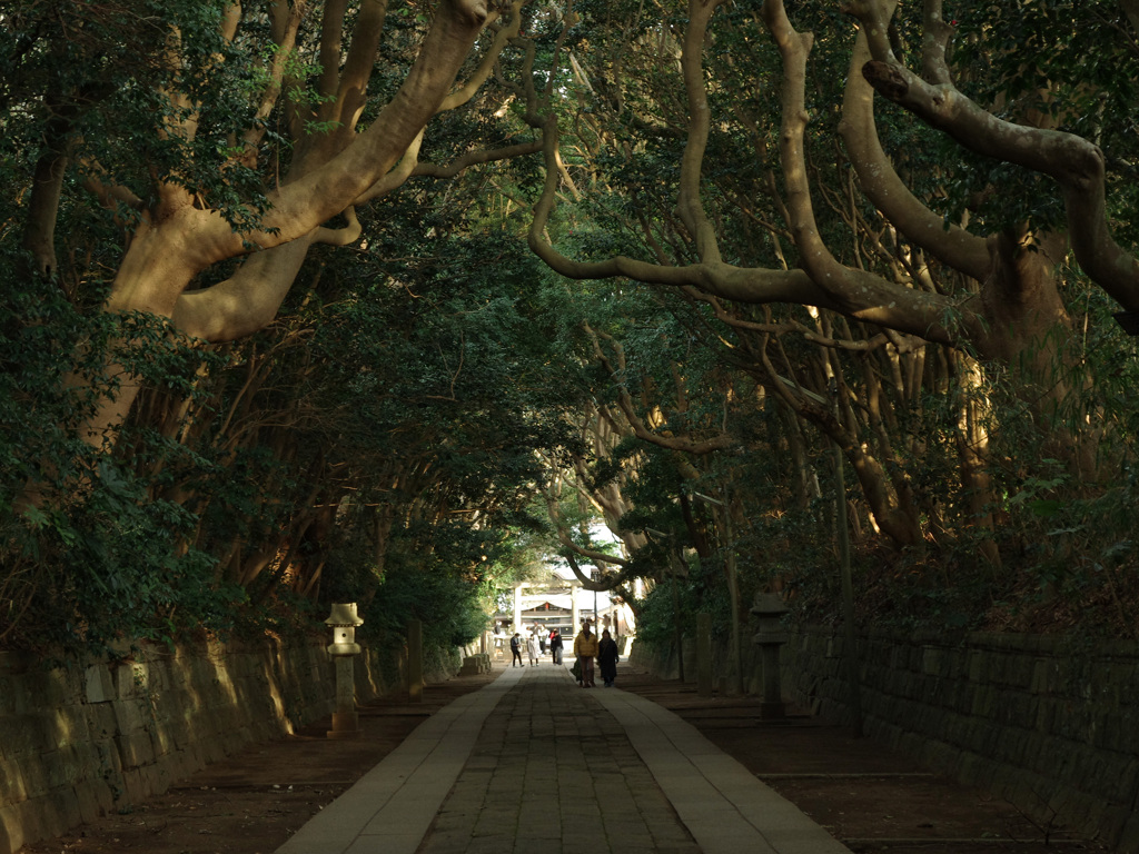 古社の参道
