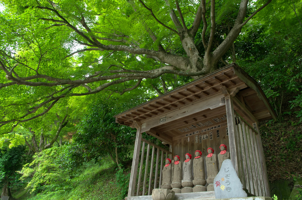 寺めぐり