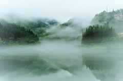 三更こいし