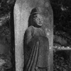 参道の木漏れ日