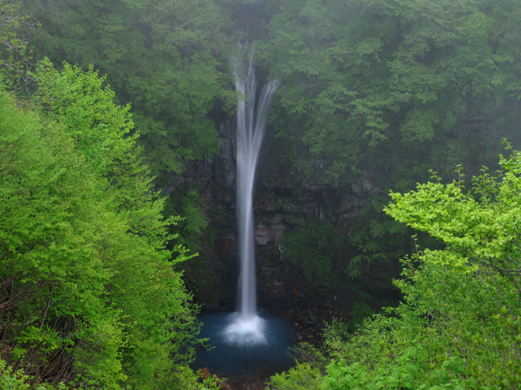 霧の便り