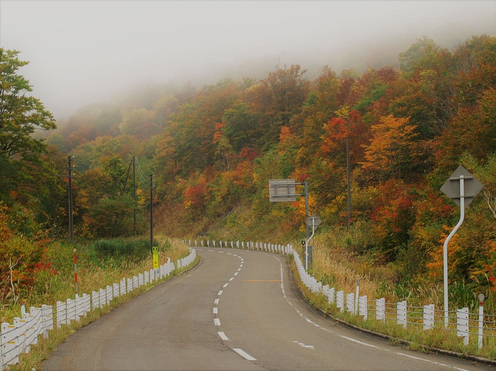 霧煙る舟鼻峠