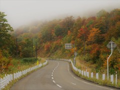霧煙る舟鼻峠