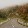 霧煙る舟鼻峠