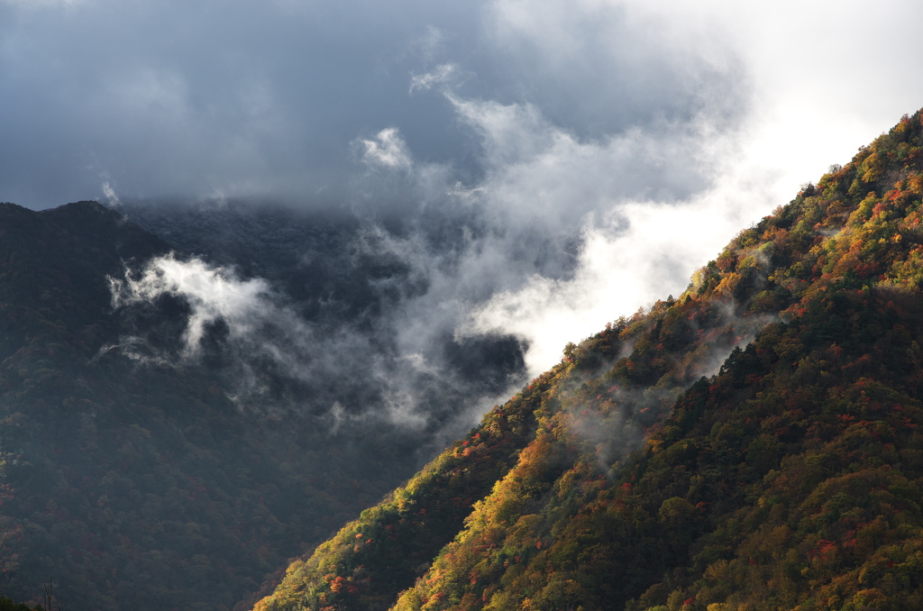 雲龍