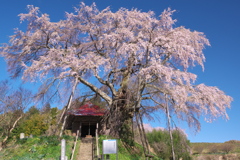 青空ありて