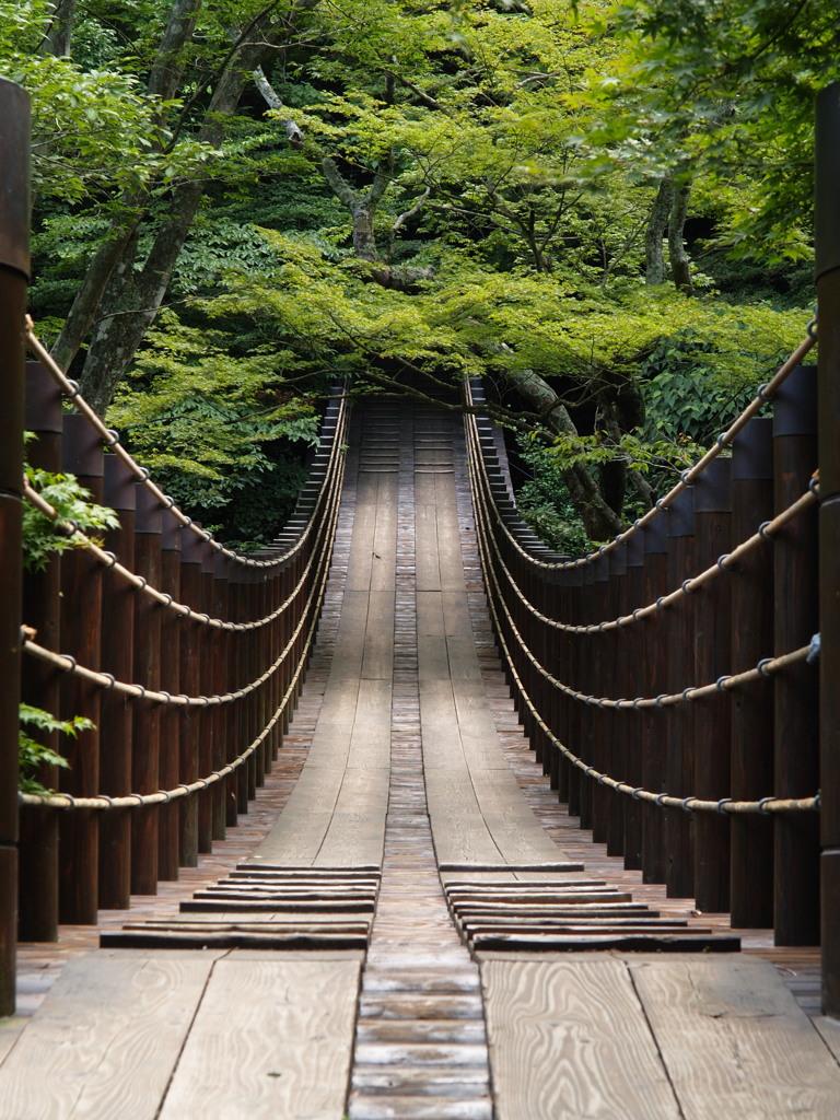 緑の先は