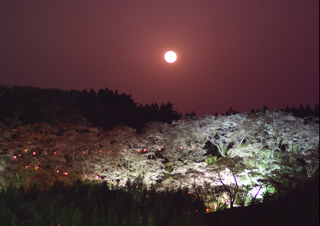 ブラッディーな夜
