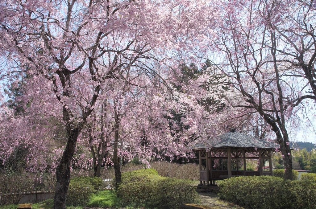 真昼の夢