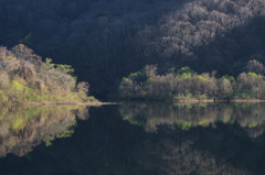 縁取りの朝