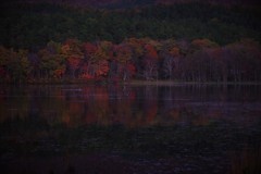 逢魔が時