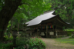 与楽山観音寺