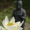 風が吹いている
