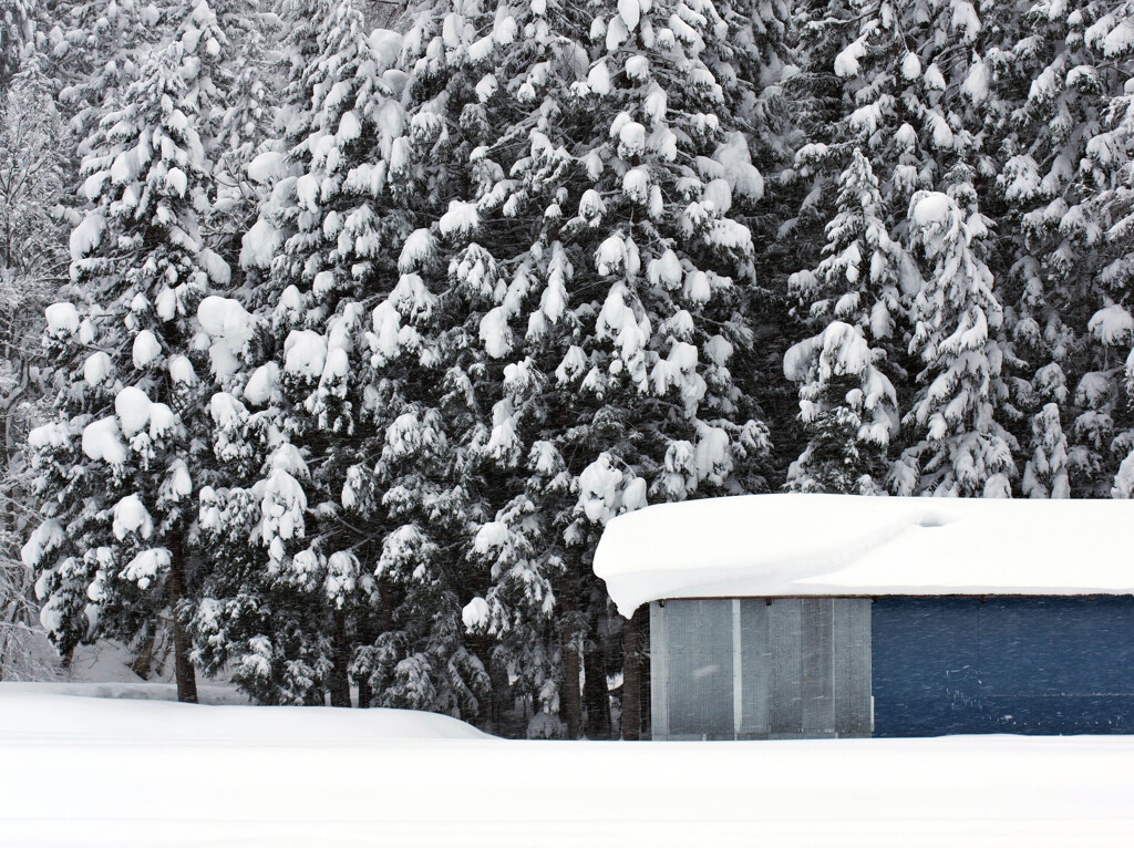 吹雪の青トタン