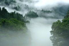 大霧なる霧幻峡