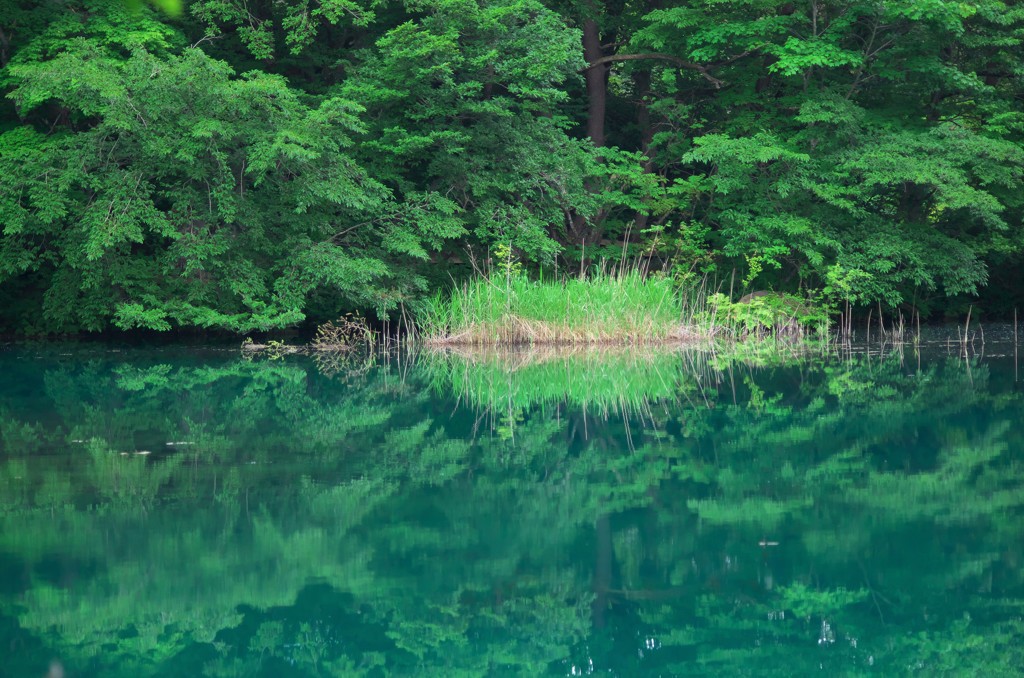 夏の記憶色