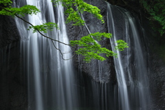 滝滴る夏