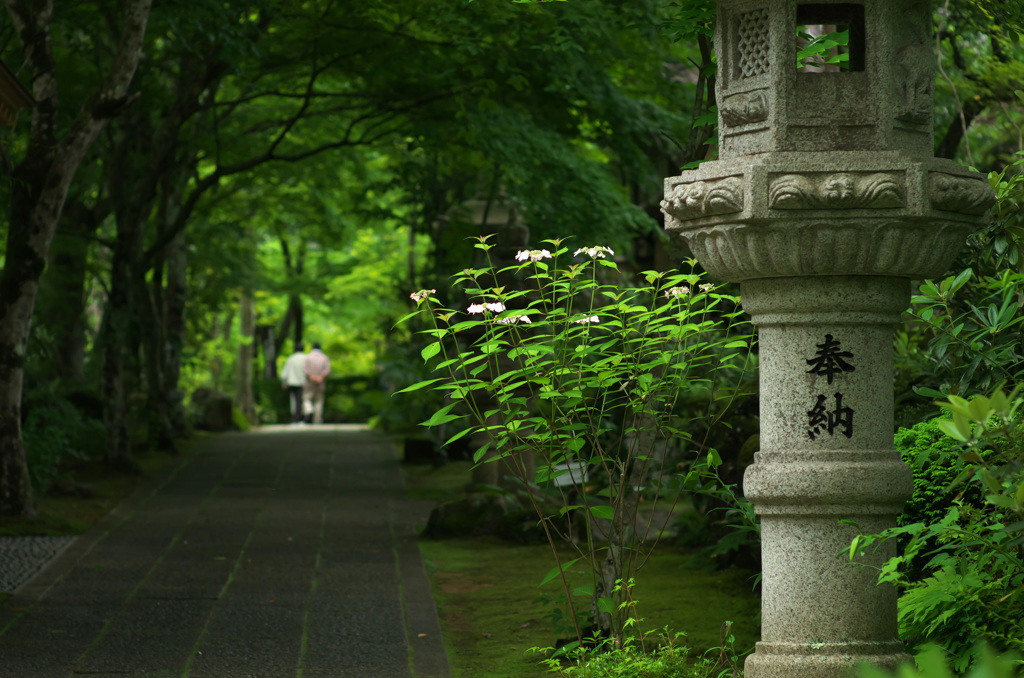 癒しの参道