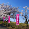 花の出迎え