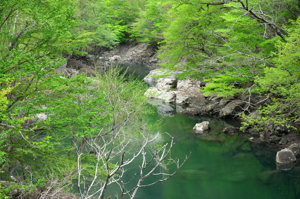 水面も萌えて