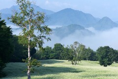 高原の目覚め