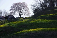 小さな旅