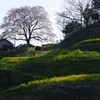 小さな旅