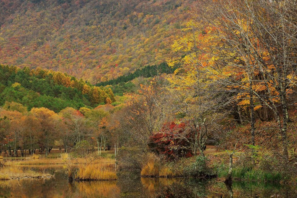 晩秋の寂景