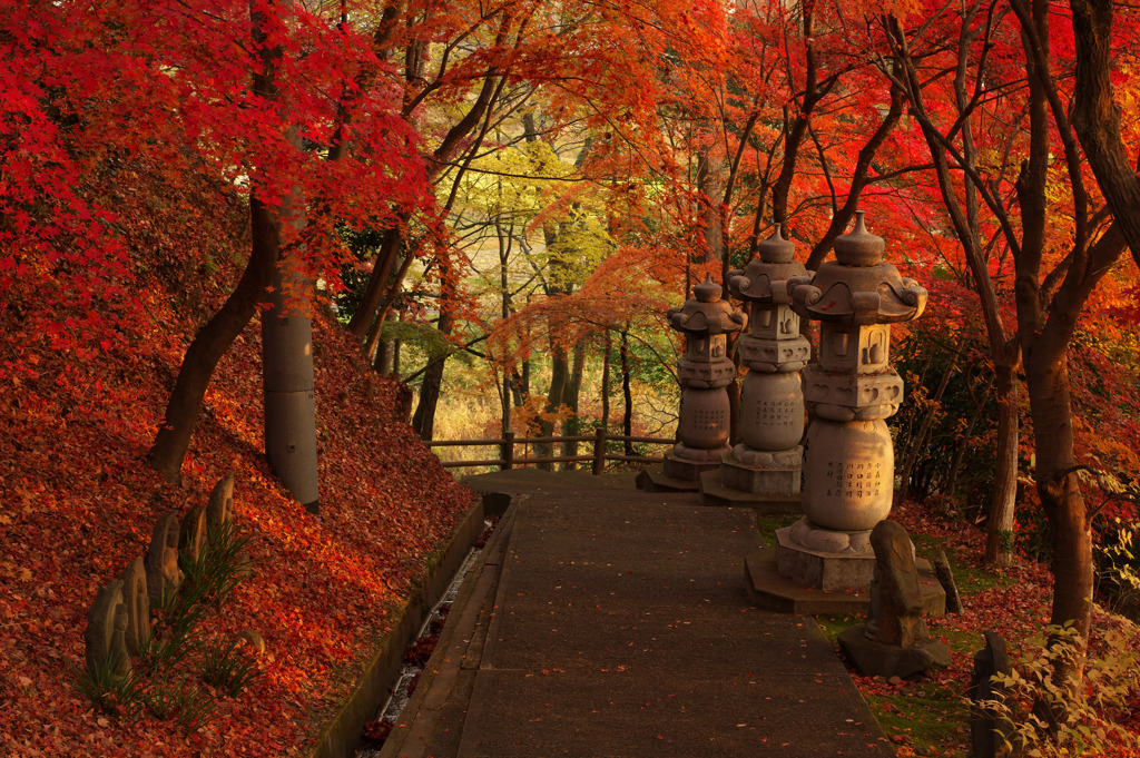 紅色に包まれて