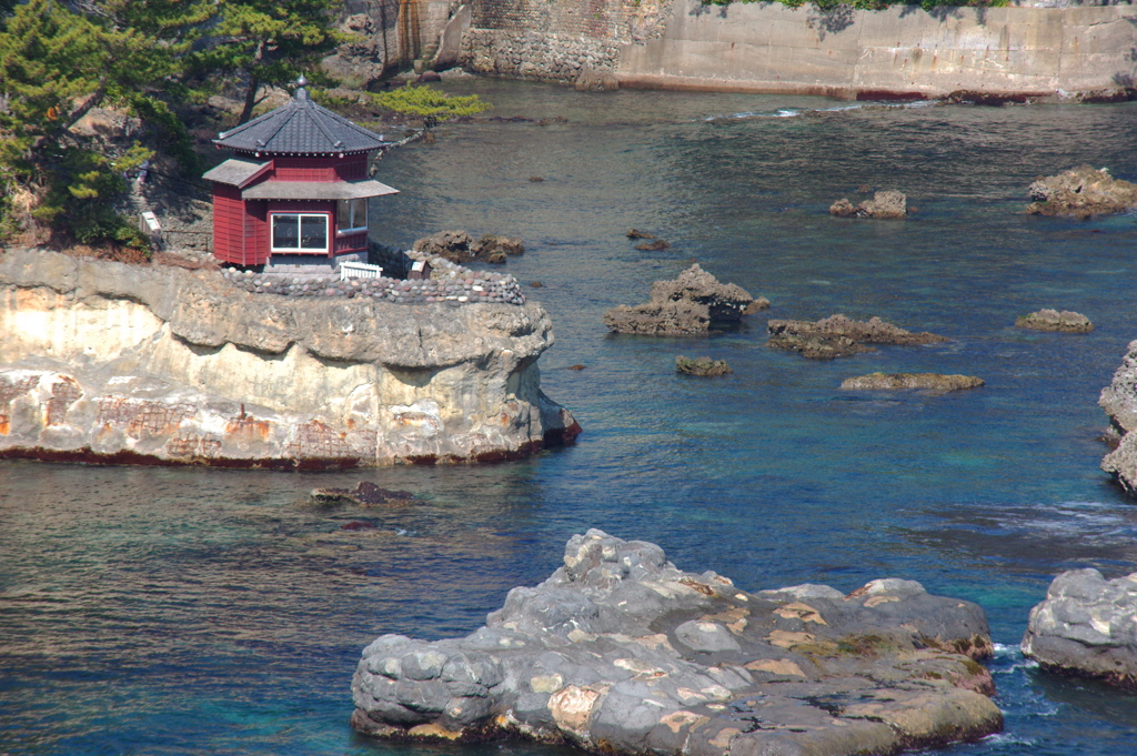 向春の水面