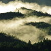 山の息吹