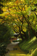 日陰も燃えて