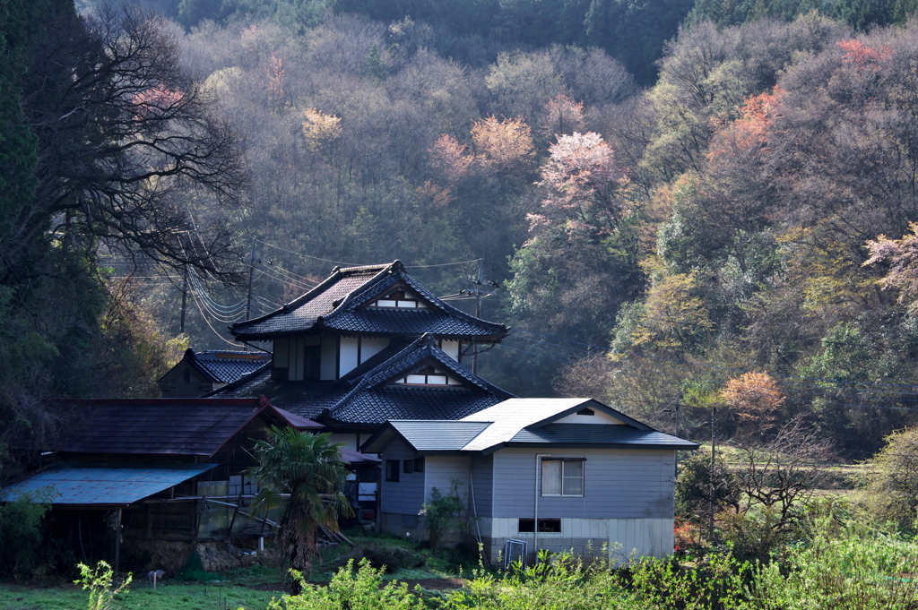 山里の春