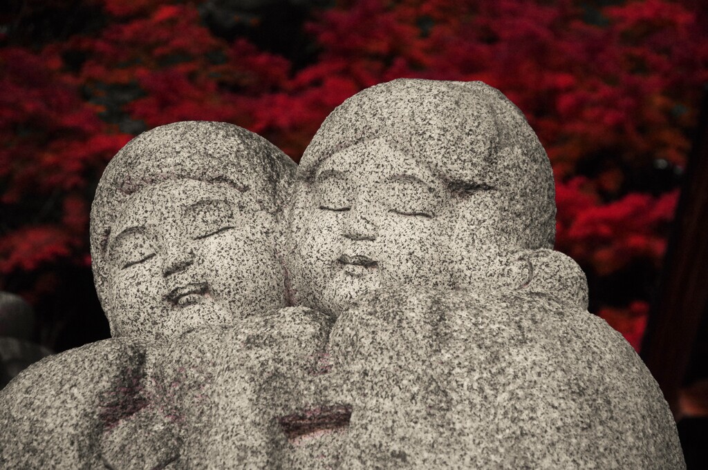 頬寄せて
