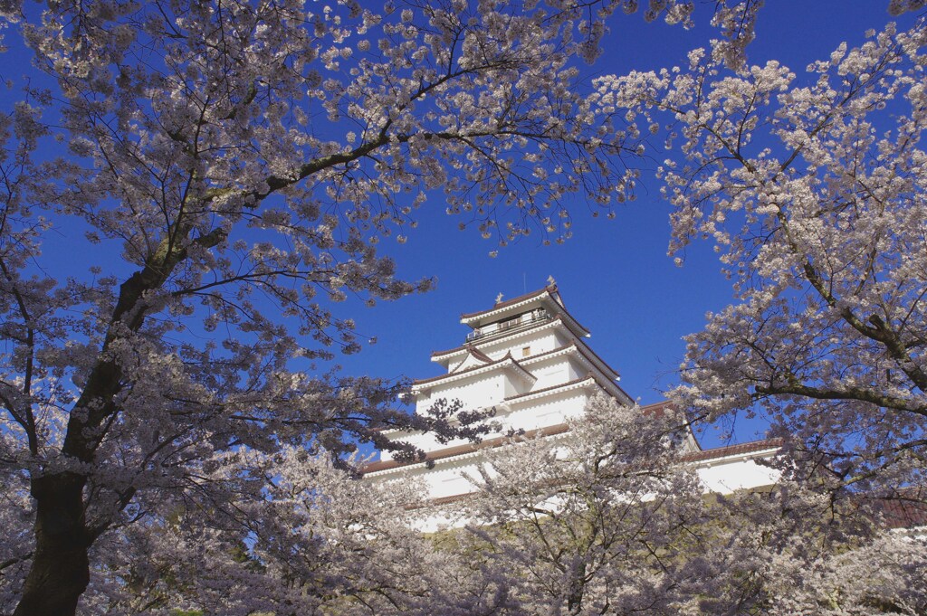 紺碧の空