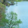 薫風の白川湖