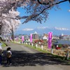 花の旅人