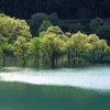 風かおる