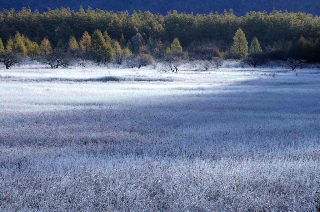 目覚めの大地